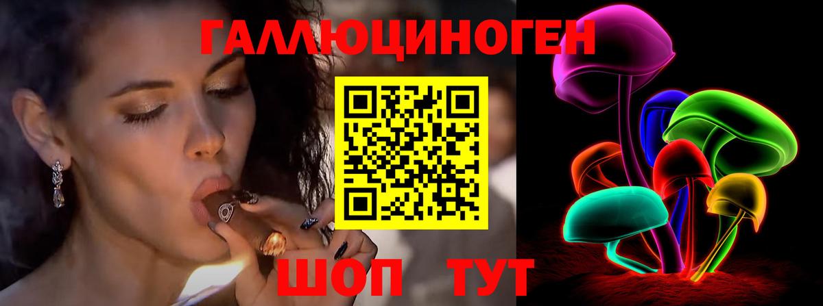 Галлюциногенные грибы Psilocybe Туймазы